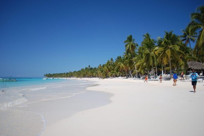 Saona Island Full Day Adventure From Punta Cana & Bavaro - Lunch on an Exclusive Beach: Included, Filling, and Easy to Budget