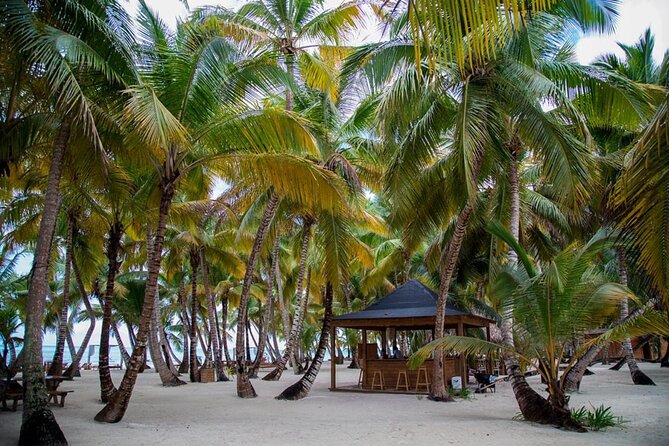 Saona Island Full Day Adventure From Punta Cana & Bavaro - Timing, Comfort, and the Small-Group Reality