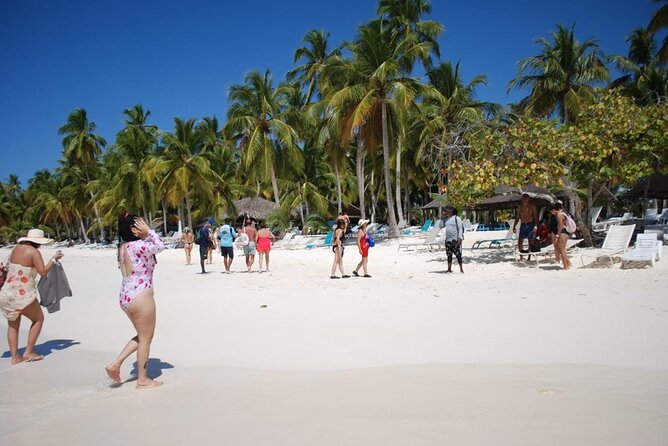 Saona Island Full Day Adventure From Punta Cana & Bavaro - Punta Cana Pickup and the Bayahibe Waiting Game