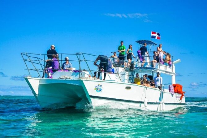 Saona Island Full-Day Excursion - Arrival on Saona Island: Snorkeling, Sunbathing, Volleyball, and Beach Lunch