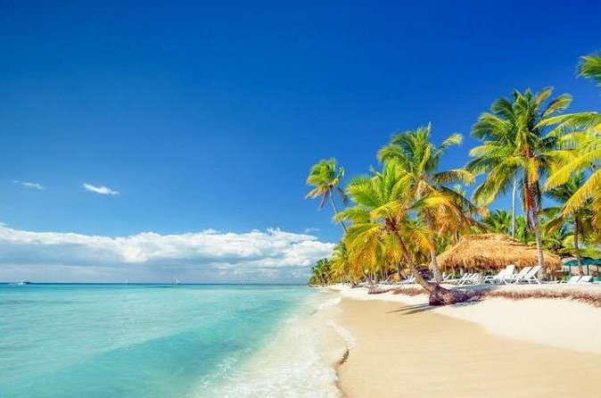 Saona Island Full-Day Excursion - Price and Logistics: Is $75 Worth It?