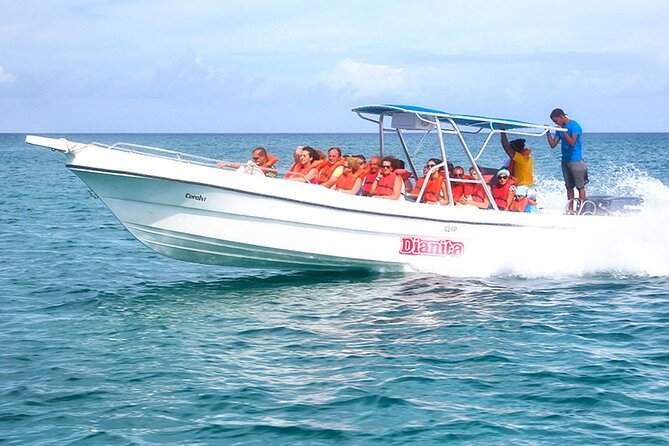 Saona Island Full Day Excursion from Punta Cana + Catamaran Party - Catamaran party: entertainment, photos, and drink reality checks