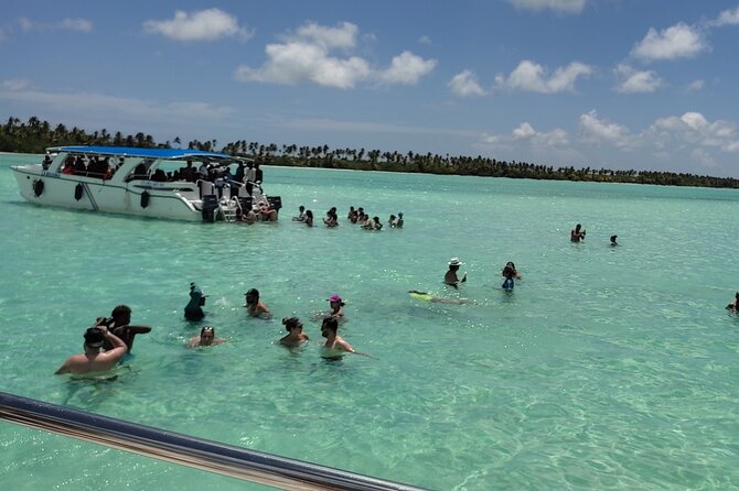Saona Island Full Day From Punta Cana - Key things to know before you go