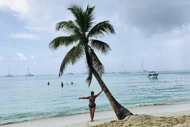 Saona Island Full Day From Punta Cana - Catamaran cruise with open bar: fun energy, not just transport