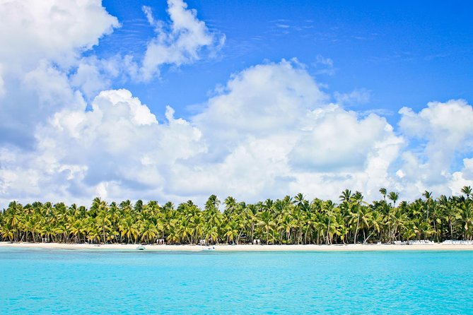 Saona Island Full Day From Punta Cana - Lunch and drinks: included, but manage your expectations