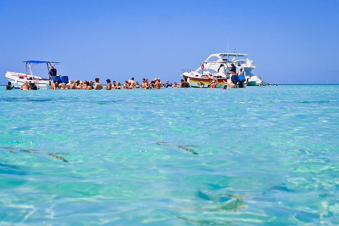 Saona Island Full Day From Punta Cana - Size, comfort, and sea conditions: simple things that matter