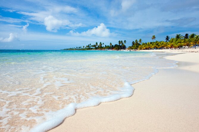 Saona Island Full-Day Tour from Punta Cana Bayahibe All Inclusive - Key Highlights You’ll Care About