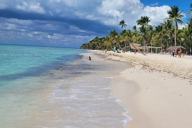 Saona Island Full-Day Tour from Punta Cana Bayahibe All Inclusive - Starfish Searching on Saona: The Moment That Makes It Feel Real