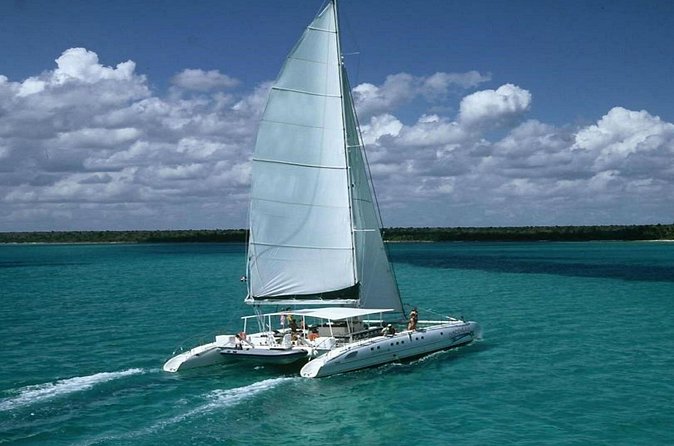 Saona Island Full Day Tour Lunch and Transportation Included - Who This Tour Suits (and Who Might Not Love It)