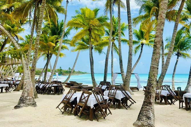 Saona Island Full Day Tour with Buffet Lunch, Paella, & Open Bar - Key highlights worth planning around