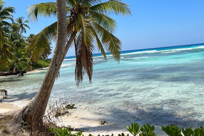 Saona Island Full Day Tour with Buffet Lunch, Paella, & Open Bar - Saona Island: beach time, paella, and snorkeling options