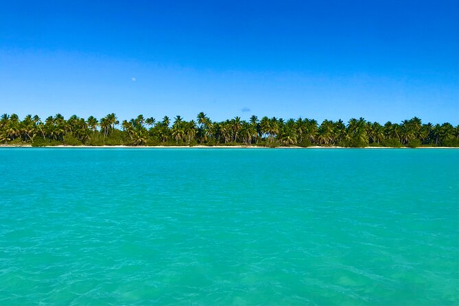 Saona Island Full Day Tour with Buffet Lunch, Paella, & Open Bar - Food and open bar: what’s included, and how to think about it