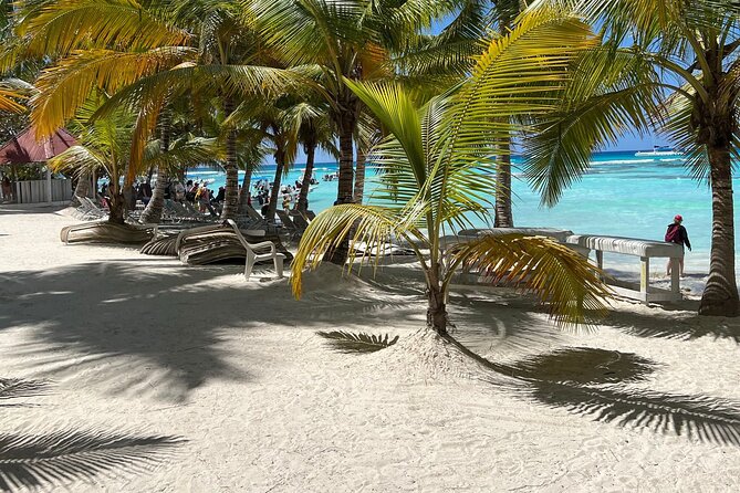 Saona Island Full Day Tour with Buffet Lunch, Paella, & Open Bar - Price and value: is $75.05 a fair deal?