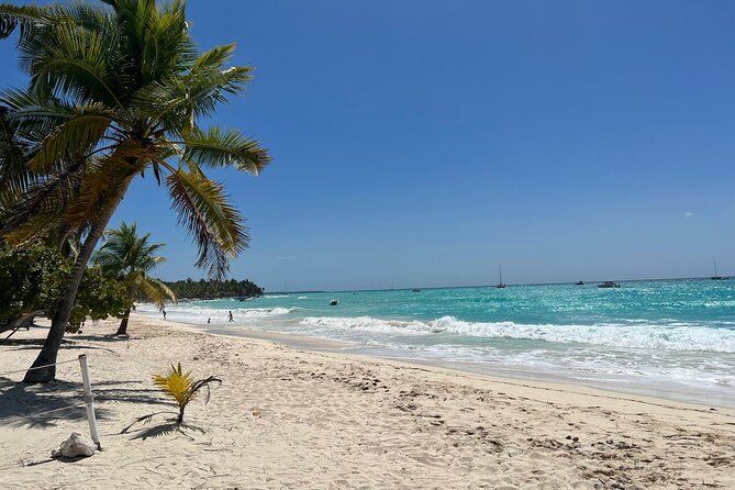 Saona Island Full Day Tour with Buffet Lunch, Paella, & Open Bar - Group size and comfort: up to 120 people on one day