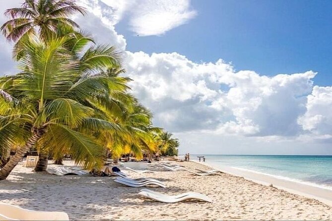 Saona Island Full-Day Tour with Lunch from Punta Cana - Getting from Punta Cana to the port: transfers that save your energy