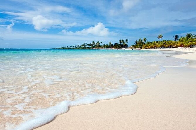 Saona Island Full-Day Tour with Lunch from Punta Cana - Crowds, schedule tightness, and food expectations