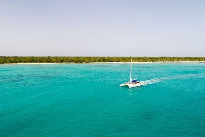 Saona Island Full-Day Tour with Lunch from Punta Cana - The catamaran cruise and swim stops: where the day’s rhythm gets set