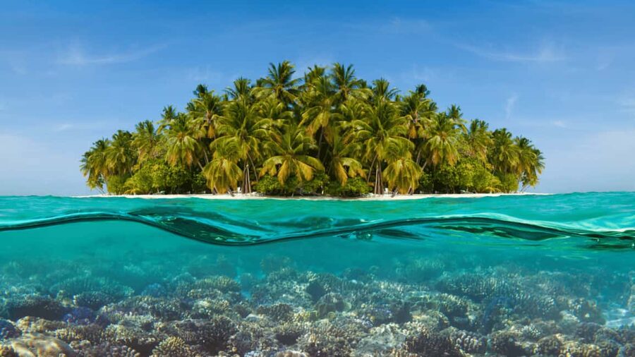 Saona Island: Hidden Beach & Natural Pool - Why Saona Island’s hidden beach stop feels worth the trip