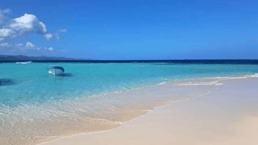 Saona Island: Hidden Beach & Natural Pool - The big picture itinerary: transfers, island time, and return pacing