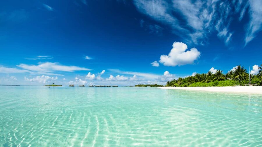 Saona Island: Hidden Beach & Natural Pool - Lunch by the shore: Dominican flavors, plus rum and soda