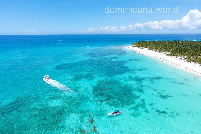 Saona Island, Natural pool Starfish, Fast boat, Catamaran +Dances - Key Things I’d Bet You’ll Care About