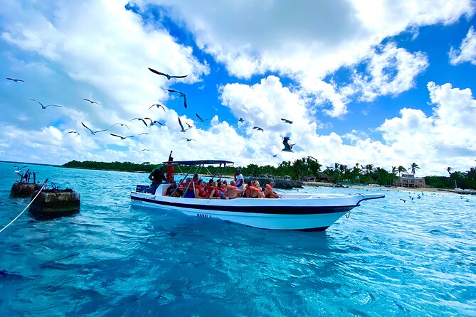 Saona Island, Natural pool Starfish, Fast boat, Catamaran +Dances - Getting There: The Early Start and Why It Matters