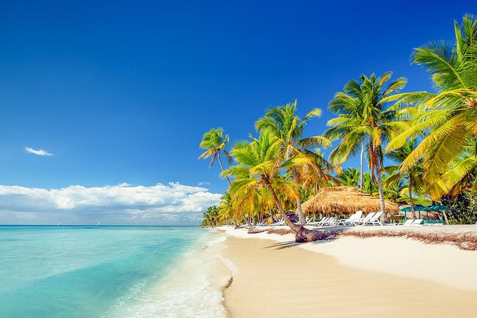 Saona Island Paradise Full Day - all inclusive. From Punta Cana & Bayahibe - Saona Island free time: how to use your 2 hours 45 minutes