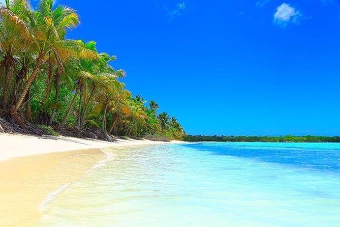 Saona Island Paradise Full Day - all inclusive. From Punta Cana & Bayahibe - Lunch at 1:00 pm buffet: included comfort (and what to expect)