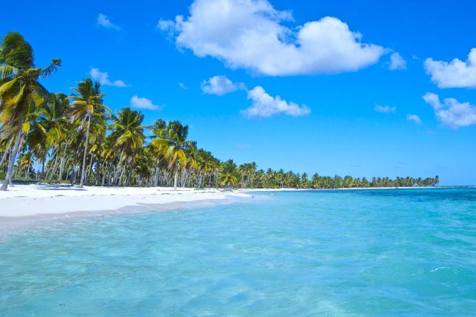 Saona Island Paradise Full Day - all inclusive. From Punta Cana & Bayahibe - The Natural Pool (Blue Lagoon) stop: shallow water fun