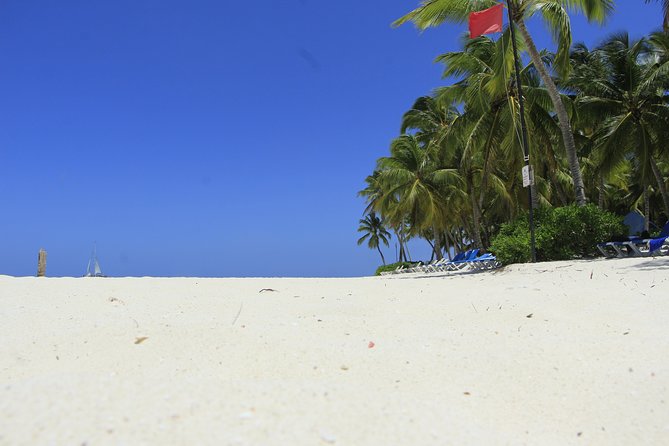 Saona Island Private Boat Tour with Lunch and Beverages - Natural Pool Time: Why This Stop Gets Mentioned