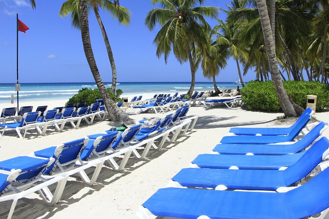 Saona Island Private Boat Tour with Lunch and Beverages - Private Attention: Who This Works Best For