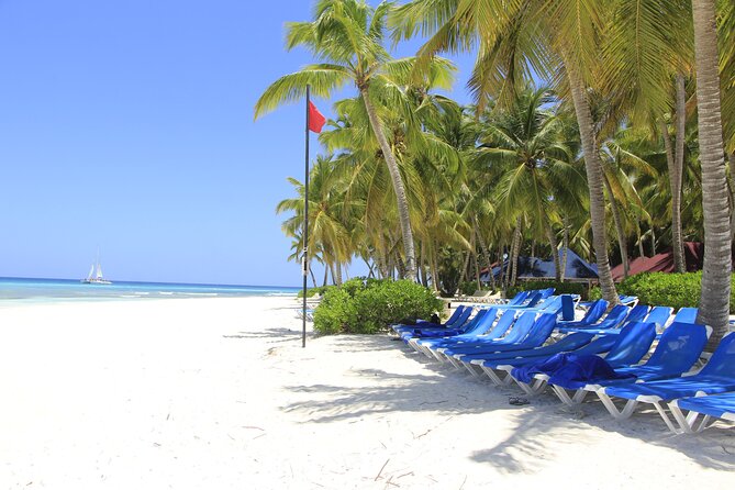 Saona Island Private Boat Tour with Lunch and Beverages - Your Private Boat Day: What You Really Get in 8 Hours