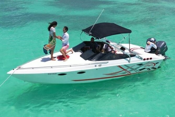Saona island - Private Tour with a Luxury Speed Boat - Key highlights worth planning around