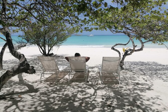 Saona island - Private Tour with a Luxury Speed Boat - Isla Saona’s Beach Break: Swim, Snack, and Do It Your Way