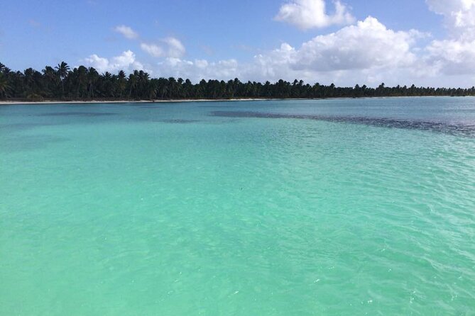 Saona island - Private Tour with a Luxury Speed Boat - Las Palmillas Natural Pools: Starfish Time in Shallow Water