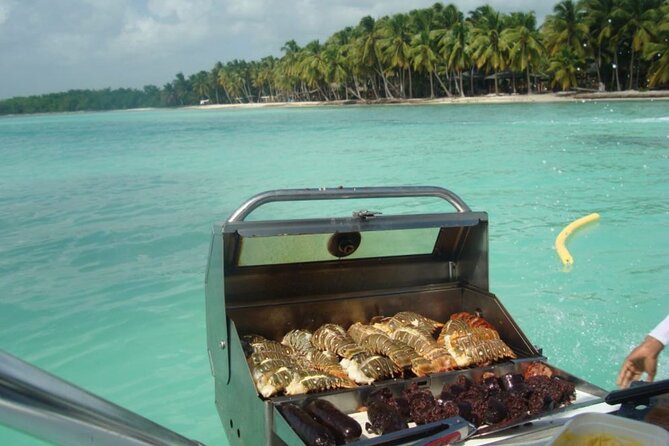 Saona island - Private Tour with a Luxury Speed Boat - Snacks, Alcoholic Drinks, and the Lunch Question