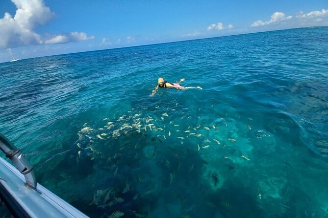 Saona island - Private Tour with a Luxury Speed Boat - Price and Value: What $1,490 Gets You for Up to 6