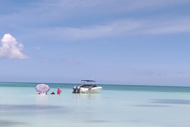 Saona island - Private Tour with a Luxury Speed Boat - Who This Tour Fits Best (and Who Might Want Something Different)