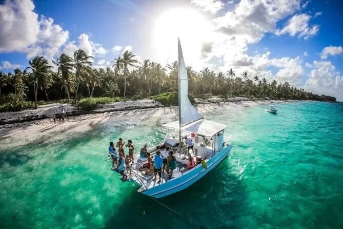 Saona Island : Punta Cana All Inclusive - Snorkeling Gear, Starfish Water, and Staying Comfortable