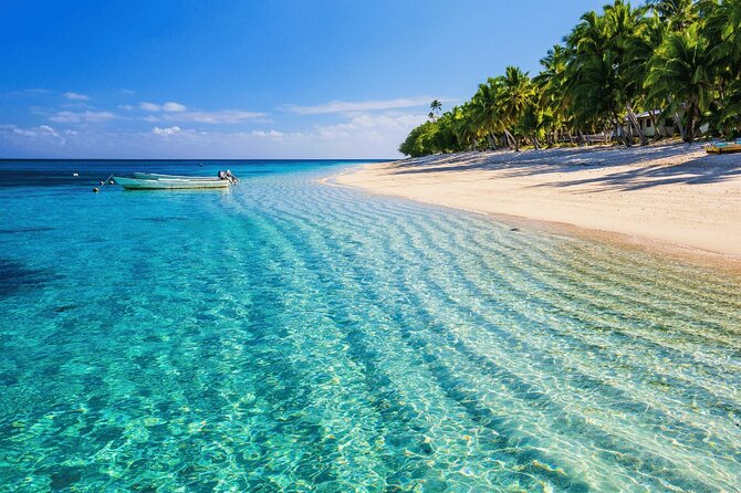 Saona Island : Punta Cana All Inclusive - The Main Risks: Pickup Timing, Sea Conditions, and VIP Expectations