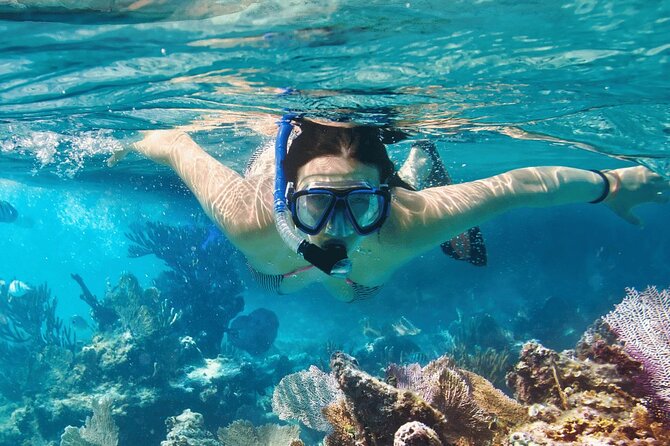 Saona Island : Punta Cana All Inclusive - Mano Juan and the Hammock Break: Culture Without the Hard Sell