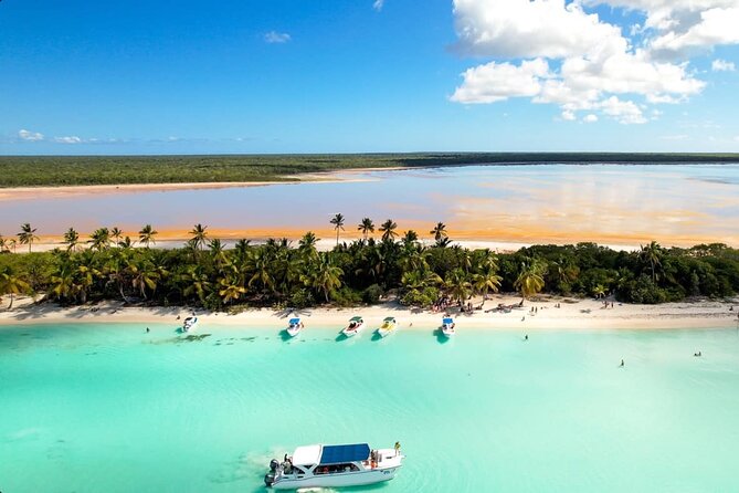 Saona Island Sailing Tour - All Inclusive - Saona Island: swimming, sailing, and lunch on the clock