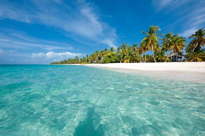 Saona Island Sailing Tour - All Inclusive - Getting the most out of the day (without fighting the group pace)