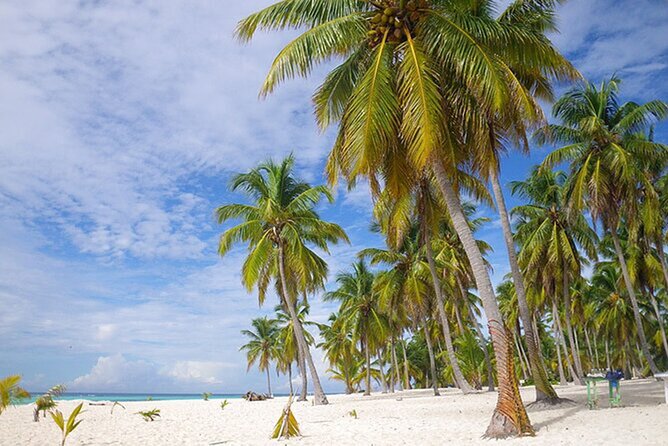 Saona Island Tour and Catamaran Party from Punta Cana - Speedboat to the Natural Pool: starfish spotting without the fuss