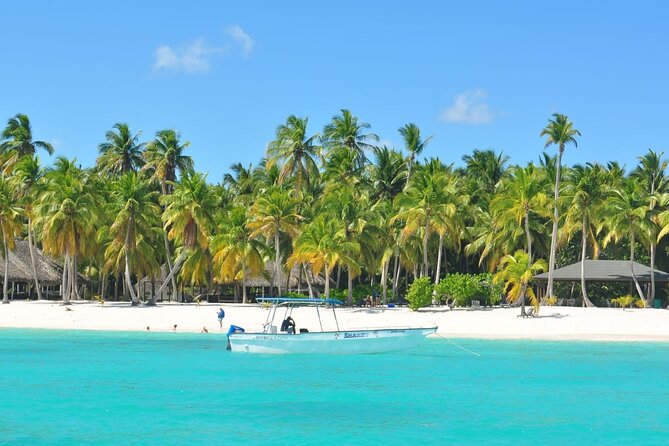 Saona Island Tour from Juan Dolio with pickup - Key Things to Know Before You Go