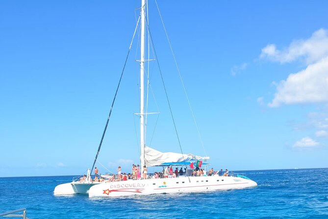 Saona Island Tour from Juan Dolio with pickup - Price and Value: Is $140 a Fair Deal?