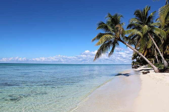 Saona Island Tour from Juan Dolio with pickup - Weather Matters: When the Tour Changes Plans