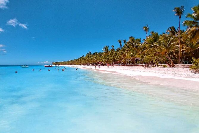 Saona Island Tour from Juan Dolio with pickup - Isla Saona: Beach Time, Buffet Lunch, and Real Island Mood