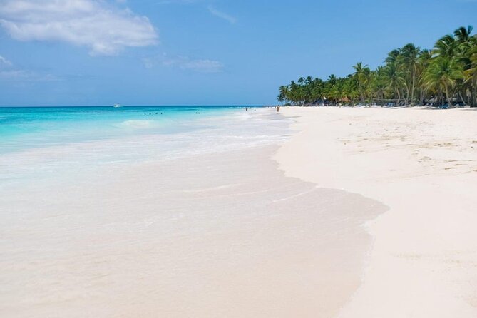 Saona Island Tour From Punta Cana - Open bar, local shop stop, and the return to your resort