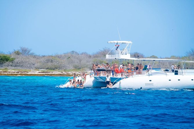 Saona Island Tour From Punta Cana - Price and value: what $92.41 buys you for a full-day excursion